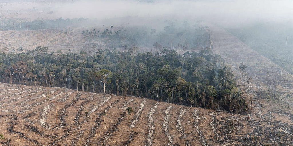 Fire in the Amazon is a stage in the economic exploitation of the biome