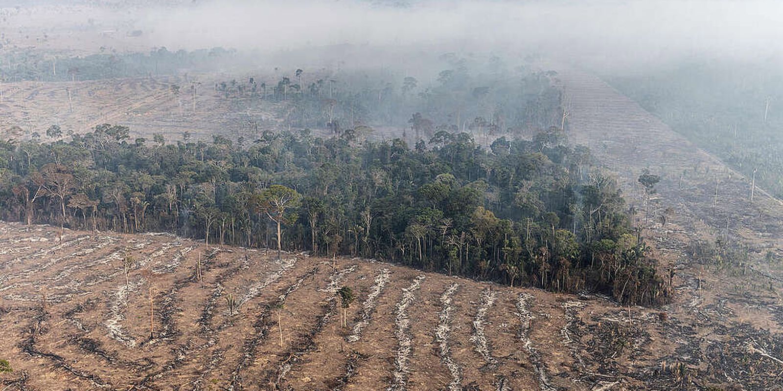 Fire in the Amazon is a stage in the economic exploitation of the biome