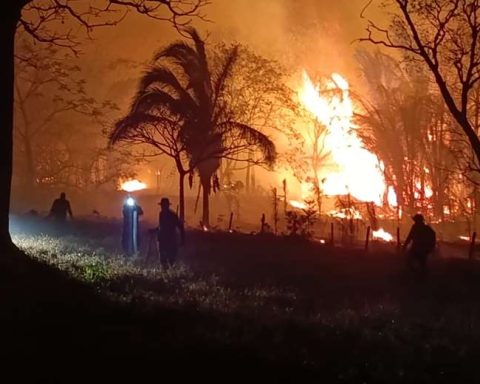 For five days, volunteers and soldiers have been fighting the fire in the Ambue-Ari Park in Guarayos