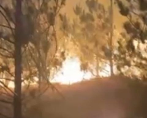 Forest fire razes more than 80 hectares in Lambayeque and threatens nearby villages