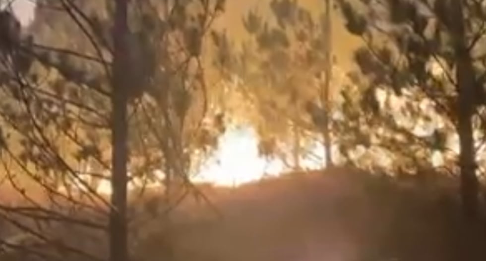 Forest fire razes more than 80 hectares in Lambayeque and threatens nearby villages