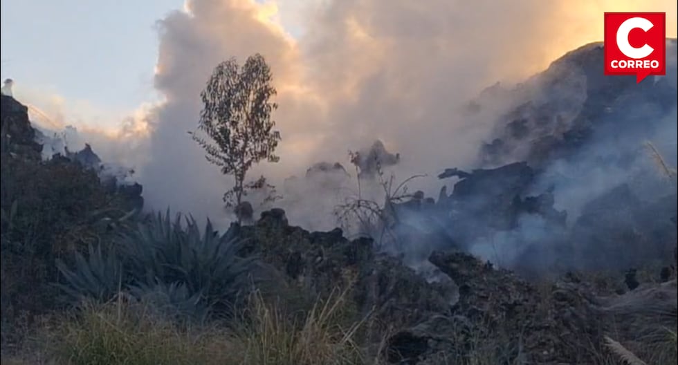 Forest fires: Park rangers and firefighters struggle to control blazes in regions