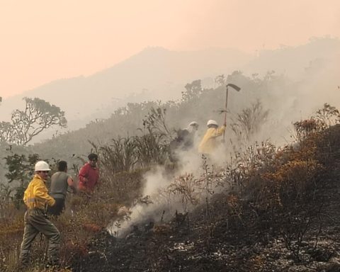 Forest fires and hunger affect rural Peru the most