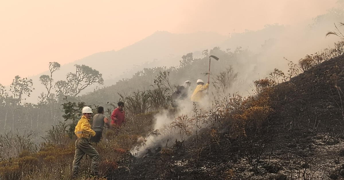 Forest fires and hunger affect rural Peru the most