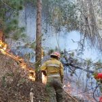 Forest fires in Peru: Death toll rises to 18 and 150 injured