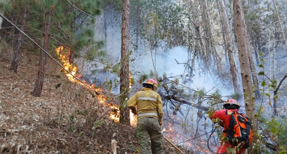 Forest fires in Peru: Death toll rises to 18 and 150 injured