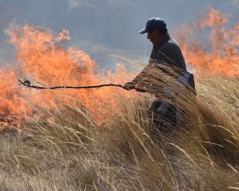 Forest fires ravage crops and archaeological sites in Amazonas, Lambayeque, Ancash and Huánuco