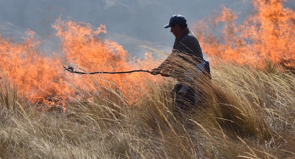 Forest fires ravage crops and archaeological sites in Amazonas, Lambayeque, Ancash and Huánuco