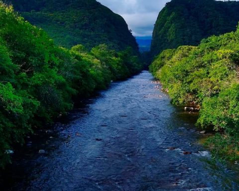 Portales del Fragüita, el secreto mejor guardado de la selva colombiana