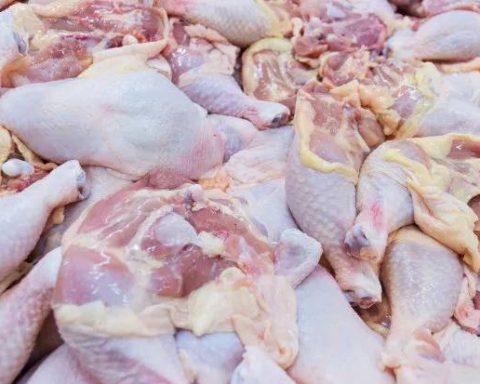 Ante la situación del pollo en RD, ¿habrá para Navidad?