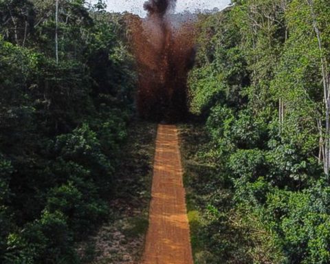 Government destroys clandestine airstrip in Yanomami Land