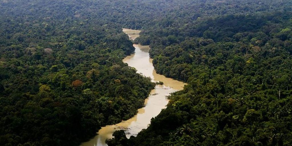 Government files first lawsuit for climate damages against the Amazon