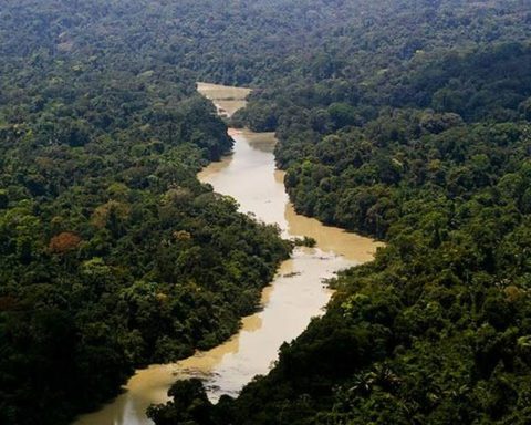 Government files first lawsuit for climate damages against the Amazon