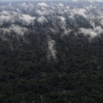 Greenhouse gas emissions from Amazon fires increase by 60%