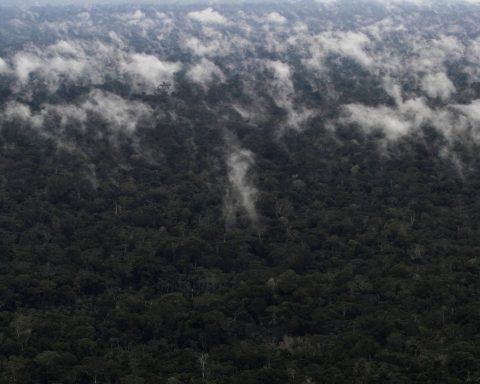 Greenhouse gas emissions from Amazon fires increase by 60%