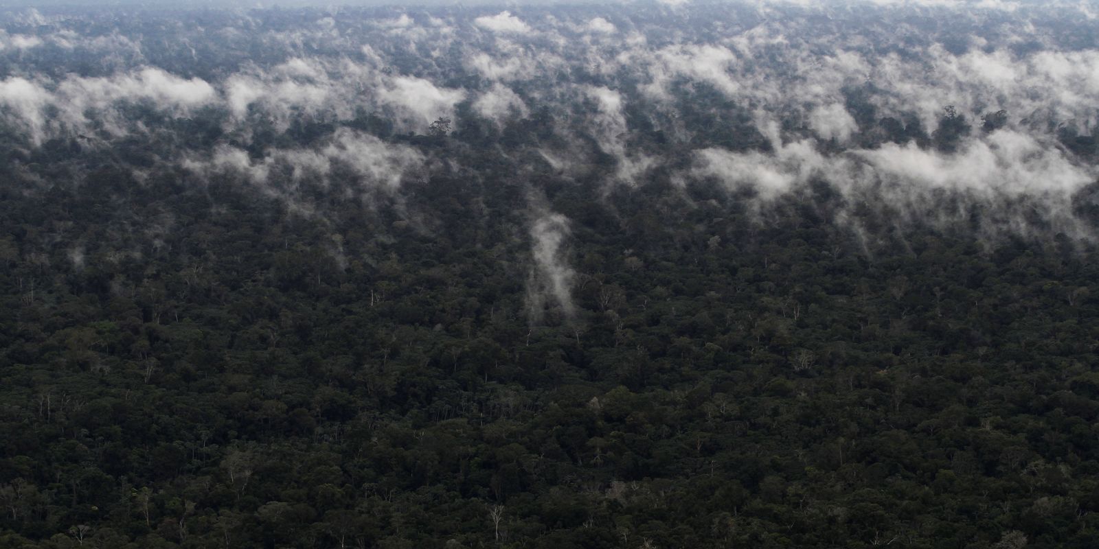 Greenhouse gas emissions from Amazon fires increase by 60%