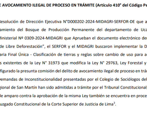 Gustavo Adrianzén and two ministers denounced for promoting the Antiforestry Law in the midst of the forest fire crisis