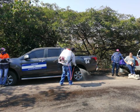 Honduras imposes US$7 fee to fumigate vehicles from Nicaragua due to cattle screwworm infestation