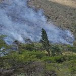 Huánuco: Two people arrested for starting a fire in the Carpish forest