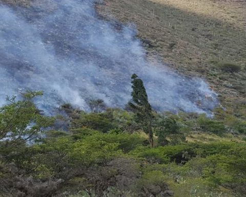 Huánuco: Two people arrested for starting a fire in the Carpish forest