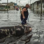 Hurricane Helene leaves 26 dead and multiple damages in the southeastern United States