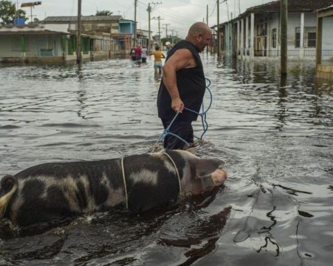 Hurricane Helene leaves 26 dead and multiple damages in the southeastern United States