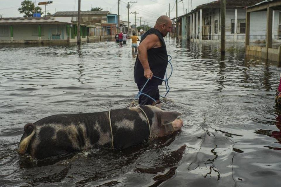 Hurricane Helene leaves 26 dead and multiple damages in the southeastern United States