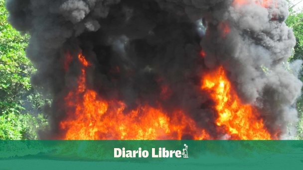 Inacif incinerates more than 216 thousand kilos of drugs in 13 years