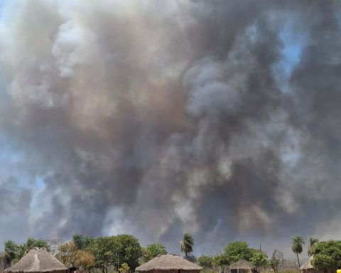 Indigenous people from Mato Grosso fight for survival after a month of fires