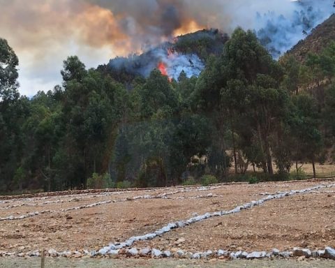 Institutions meet to create an action plan for forest fires in Junín