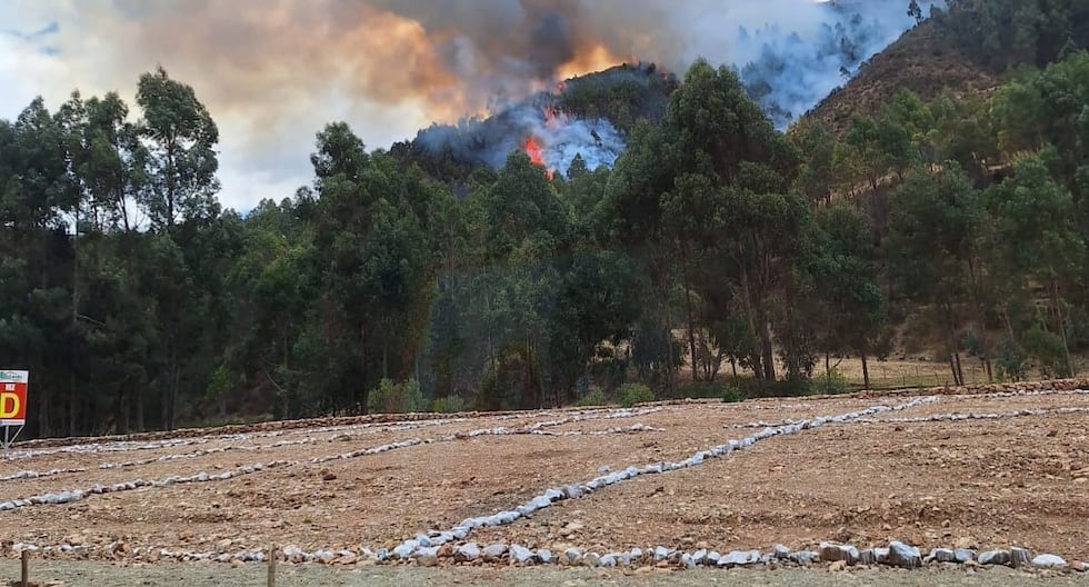 Institutions meet to create an action plan for forest fires in Junín