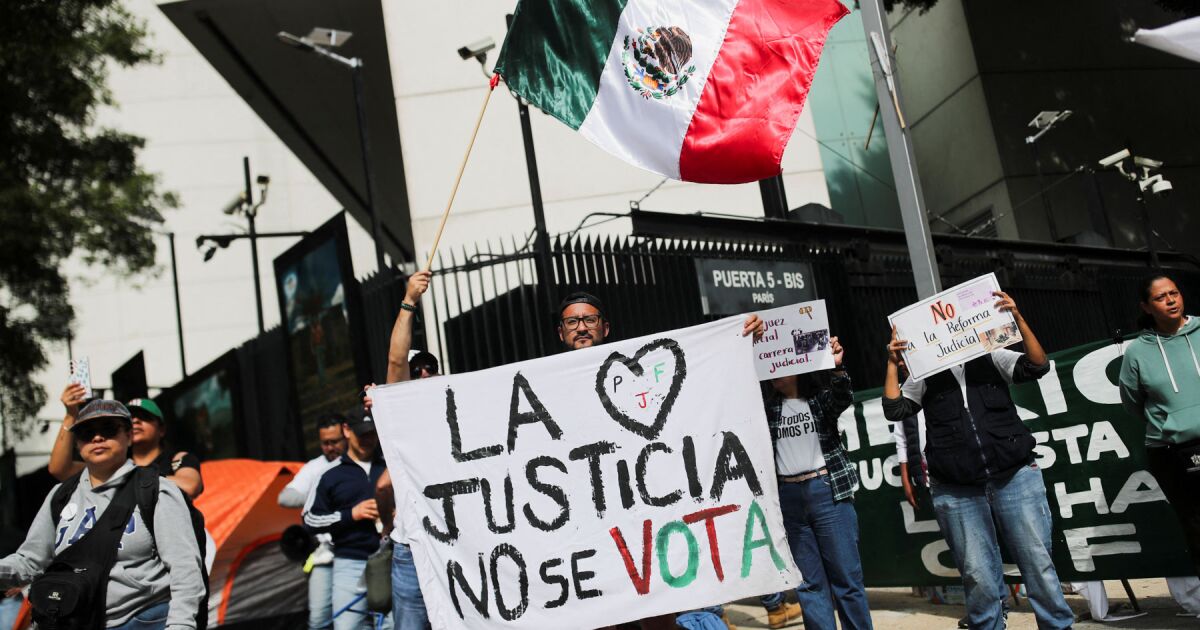 Judicial Branch workers set up camp against reform in the Senate