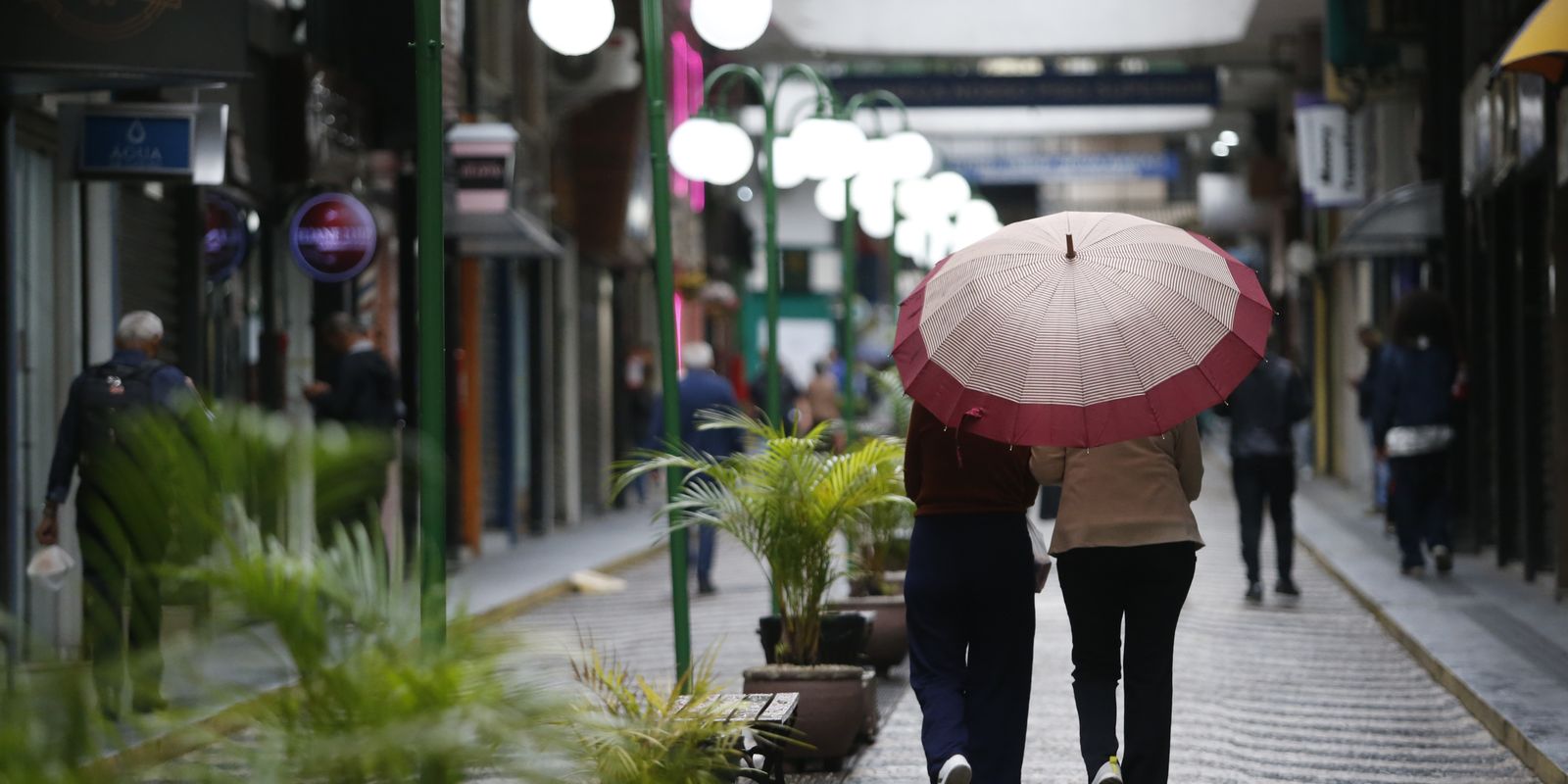 La Niña should be weak this year, says climatologist