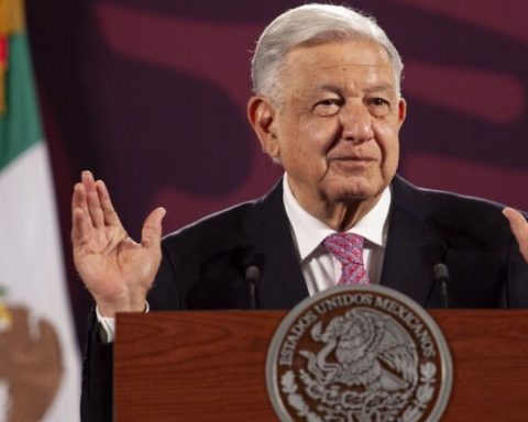 López Obrador warns businessmen: In the face of Sheinabum, "I'm going to be a strawberry"