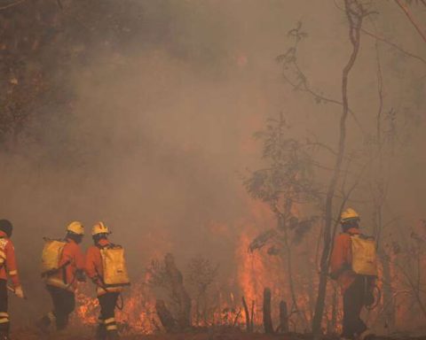 Lula admits Brazil was not '100% prepared' to face the current wave of forest fires