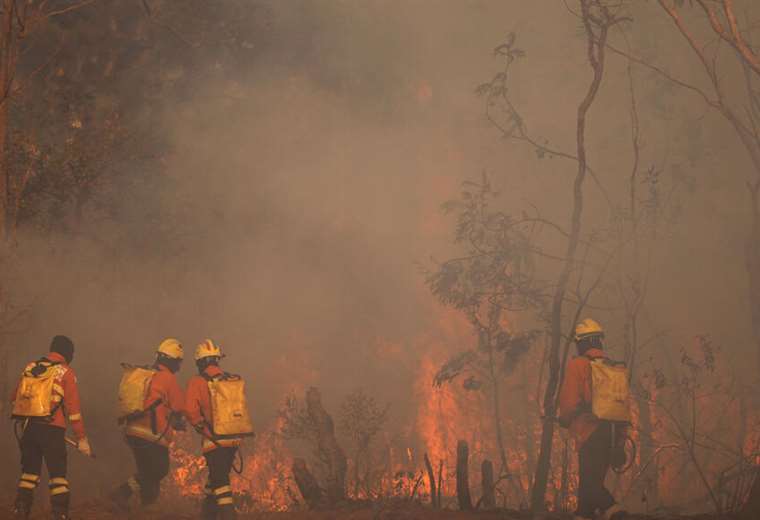 Lula admits Brazil was not '100% prepared' to face the current wave of forest fires