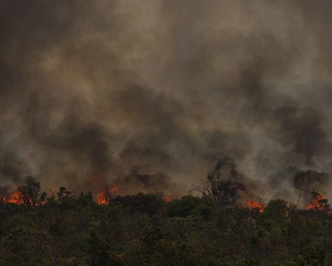 MMA Secretary sees political connotation in fires in the Amazon