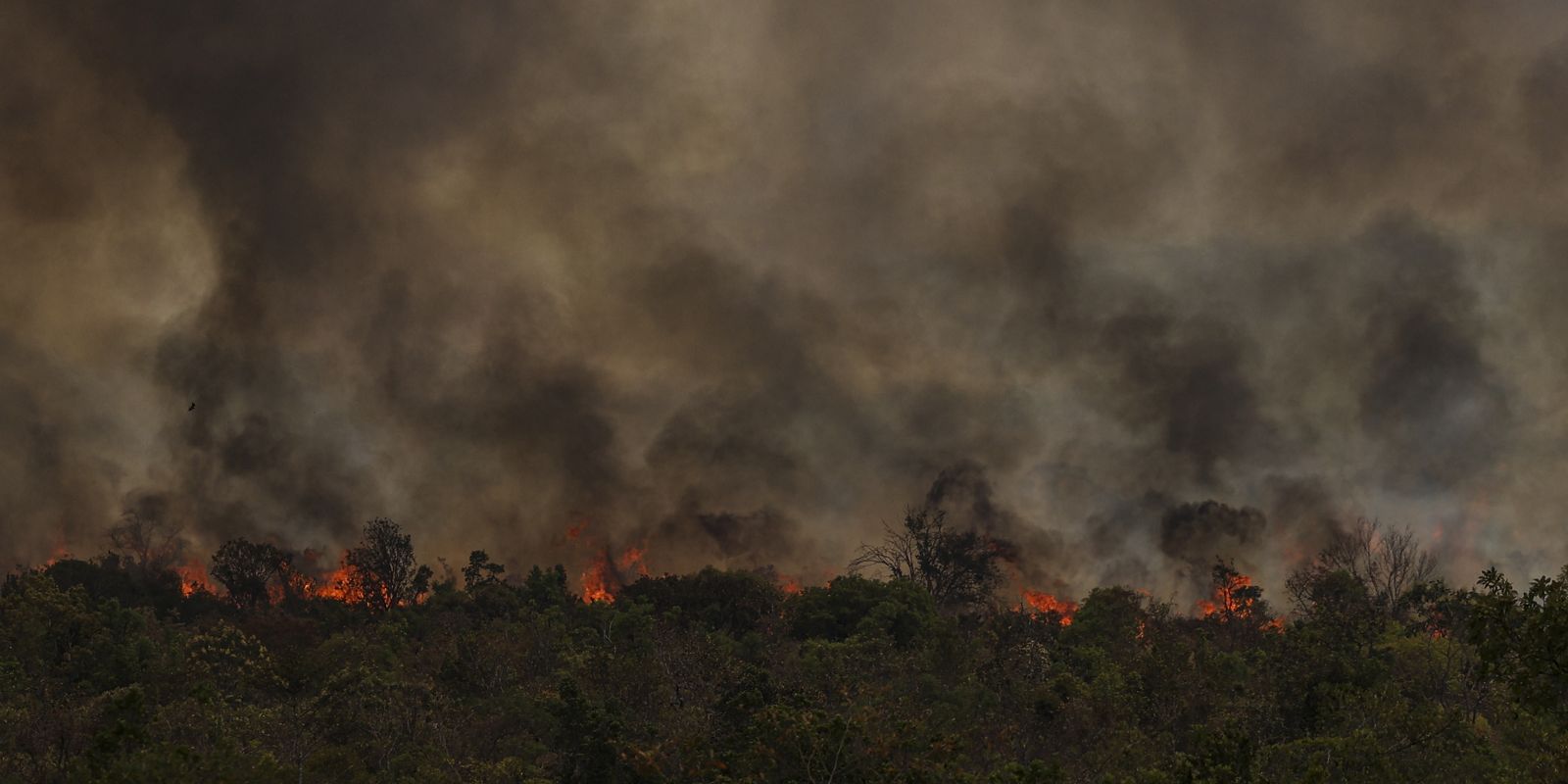 MMA Secretary sees political connotation in fires in the Amazon