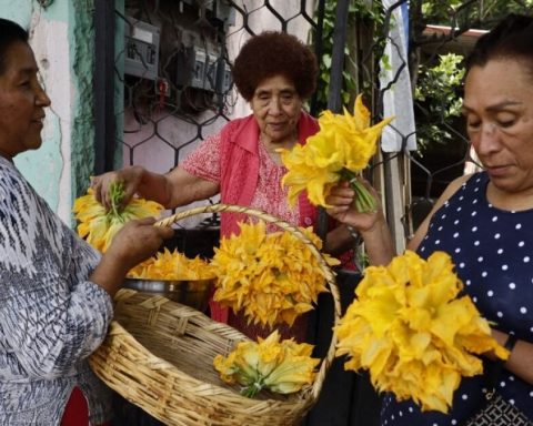 Mexican economy grows 0.6% in July