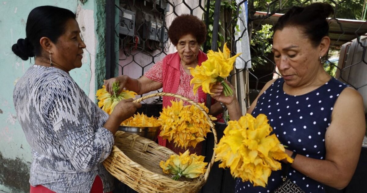 Mexican economy grows 0.6% in July