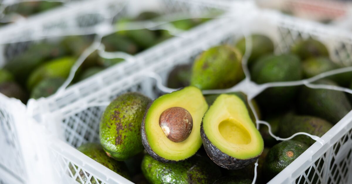 Mexico and the US agree that Sader will supervise avocados for export