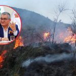 Minister of the Environment: I will go to Congress to report on actions against forest fires