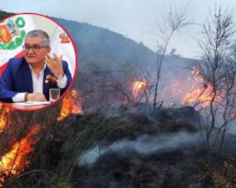 Minister of the Environment: I will go to Congress to report on actions against forest fires