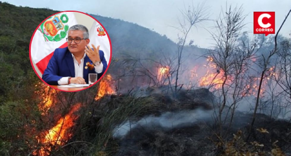 Minister of the Environment: I will go to Congress to report on actions against forest fires