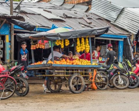 Mission Bogotá: this is how you can help fight hunger in Bogotá