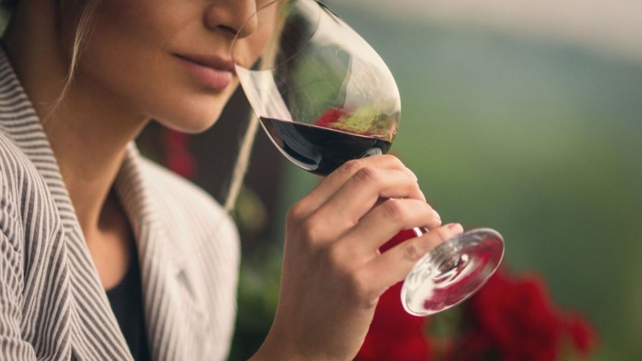 National Wine Day: How much does a tasting cost in Santiago on September 5 and 6?