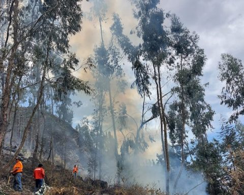 Nine forest fires have been extinguished in Ancash, Apurimac, Cusco, La Libertad and Lima, according to COEN