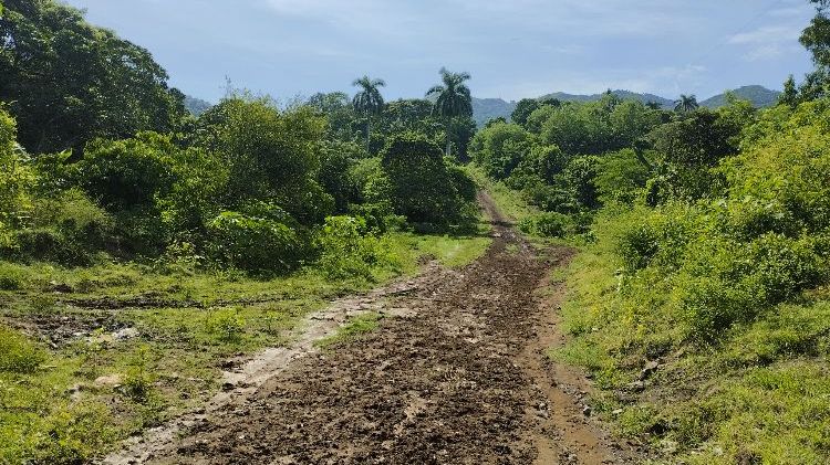 Camino de tierra en el oriente cubano