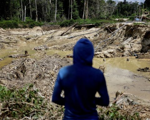 PF operation combats illegal mining in the Yanomami Indigenous Land