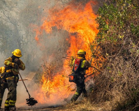 Peru denies Bolivia help to control forest fires